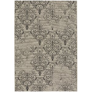 Boyster Indoor/Outdoor Area Rug