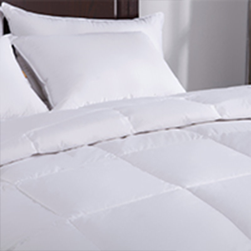 Puredown Lightweight Down Comforter & Reviews Wayfair