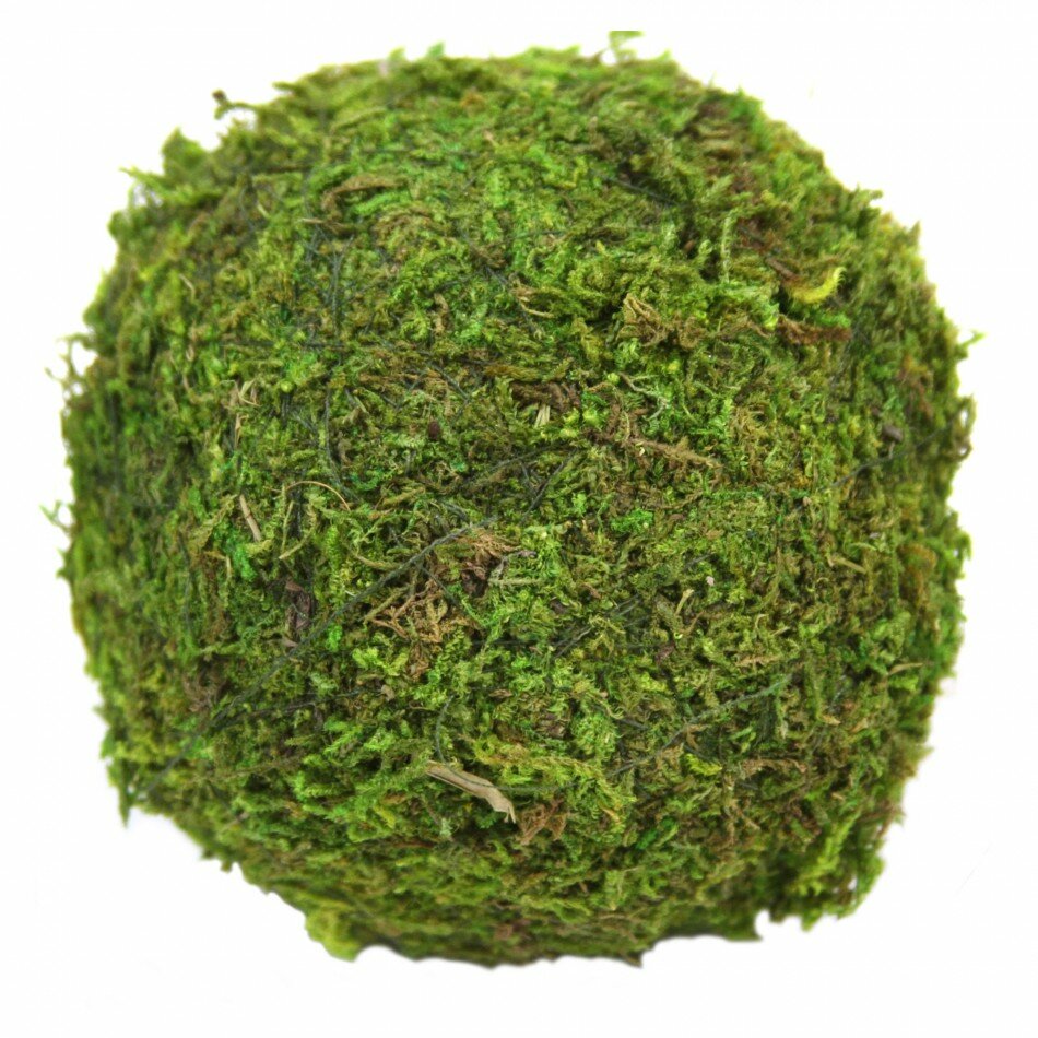 Koyal Wholesale Stacey Decorative Moss Ball Sculpture Reviews