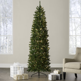 tall slim christmas tree clearance pencil 75 green fir artificial christmas tree with 350 clearwhite lights slim trees youll love wayfair tall slim christmas tree clearance pencil 75 green fir artificial christmas tree with 350 clearwhite lights slim trees youll love wayfair