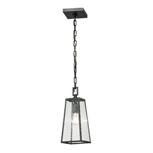 Karly 1-Light Outdoor Pendant