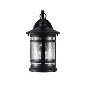 Brasher 1-Light Outdoor Wall Lantern