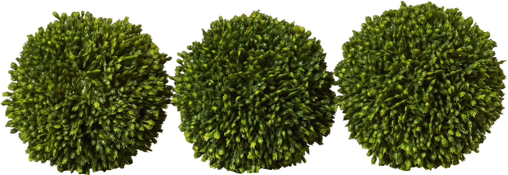 Charlton Home Faux Ball Decor Round Topiary & Reviews | Wayfair