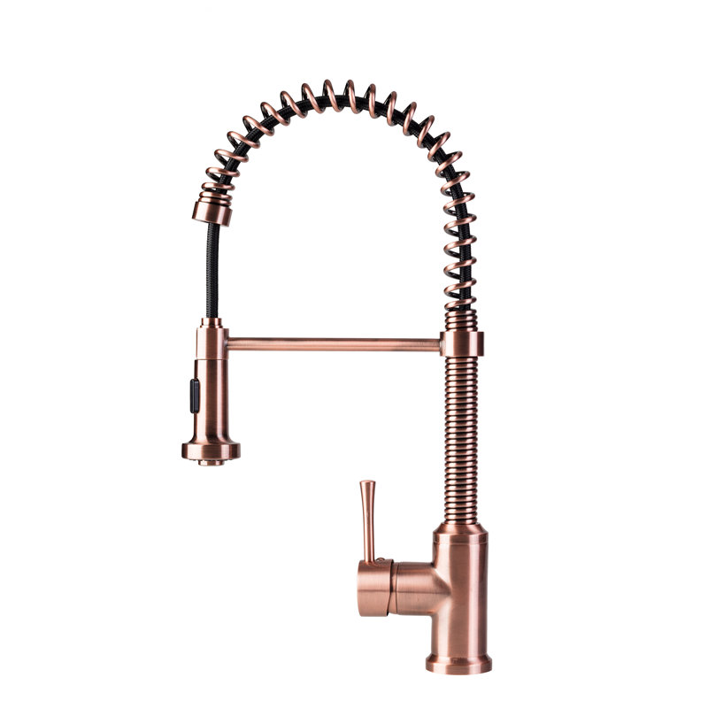 FontainebyItalia Spring Coil Flat Spray Head Pull Down ...