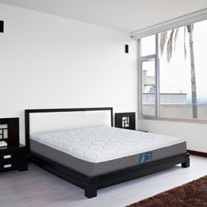 Sleep Magic Ortho 10