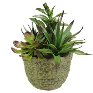 Decorative Artificial Mixed Succulent Arrangement Desk Top Plant in Pot