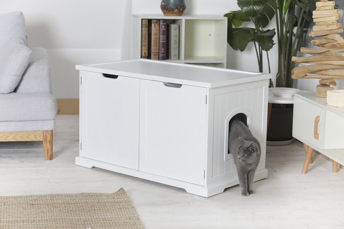 Merry Products Kitty Litter Box & Reviews | Wayfair