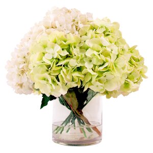 Hydrangea in Acrylic Water Vase