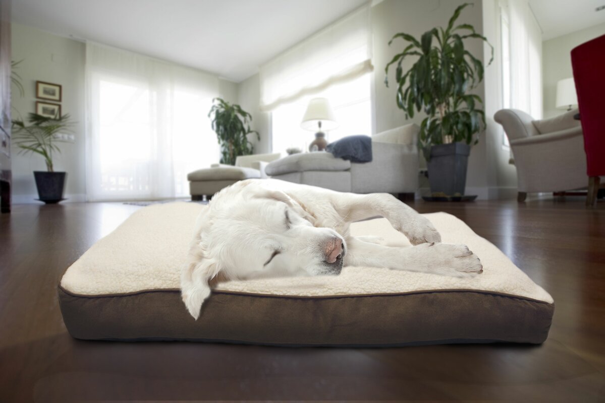 Furhaven Lydia Pet Bed & Reviews 