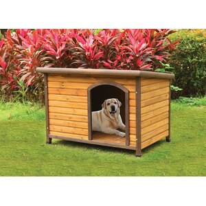 Rory Dog House