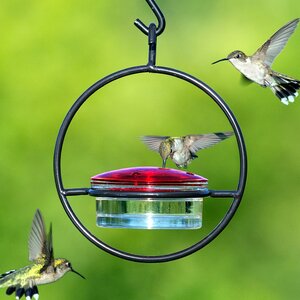 Hummingbird Feeder