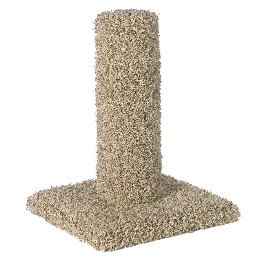 Deluxe Carpet Scratch Post