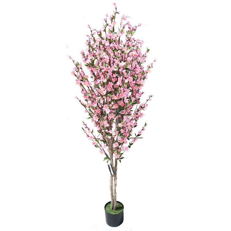 Gracie Oaks Cherry Blossom Silk Flowering Tree in Pot | Wayfair