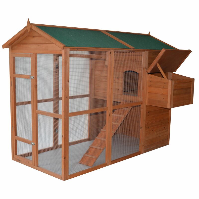 Auggie Deluxe Large Backyard Chicken Coop With Chicken Run