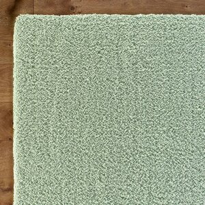 Shaggy Green Rug