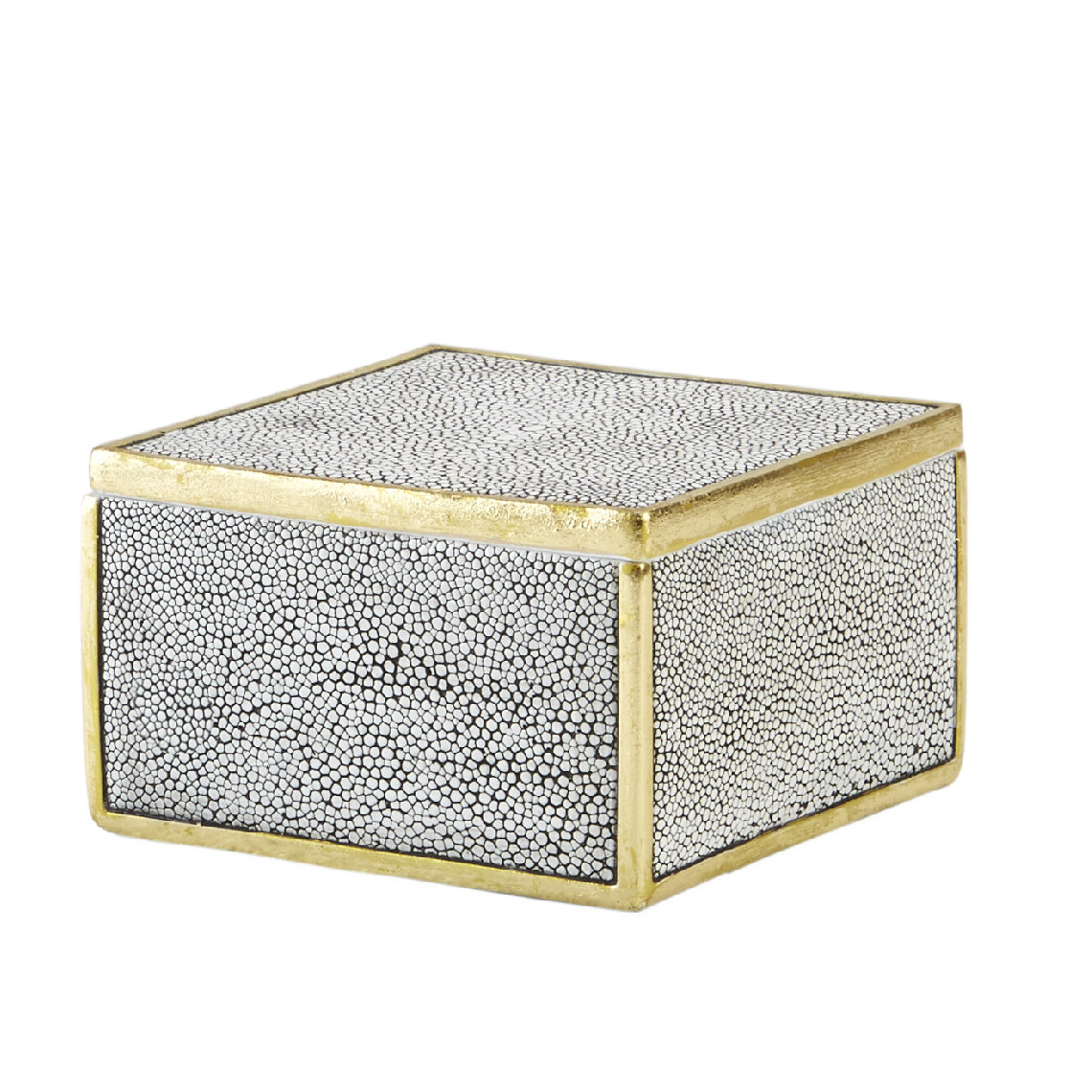 Jolinda Resin Decorative Box Reviews Joss Main