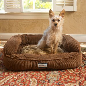 Beautyrest Colossal Rest Orthopedic Memory Foam Medium Dog and Cat Bed