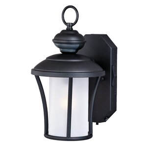 Parker Dualuxu00ae 1-Light Outdoor Wall Lantern