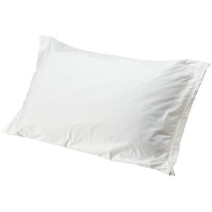Pillow Protector (Set of 2) by Alwyn Home