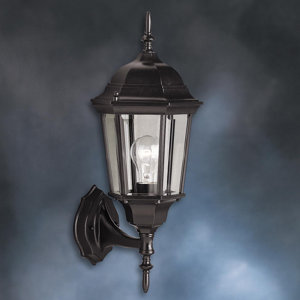 Allmon 1-Light Outdoor Beveled Glass Shade Wall Lantern