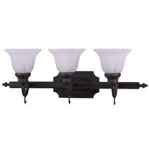 Christiansburg 3-Light Vanity Light