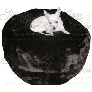 Tiger Dreamz Wayfair Beddy Ball Pet Bed By Tiger Dreamz