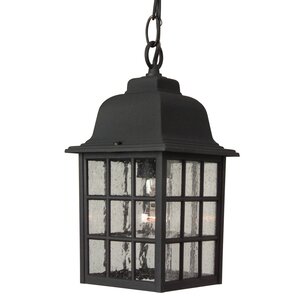 Bentonville 1-Light Outdoor Hanging Lantern