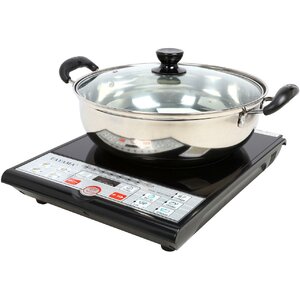 Induction Cooker with Cooking Pot