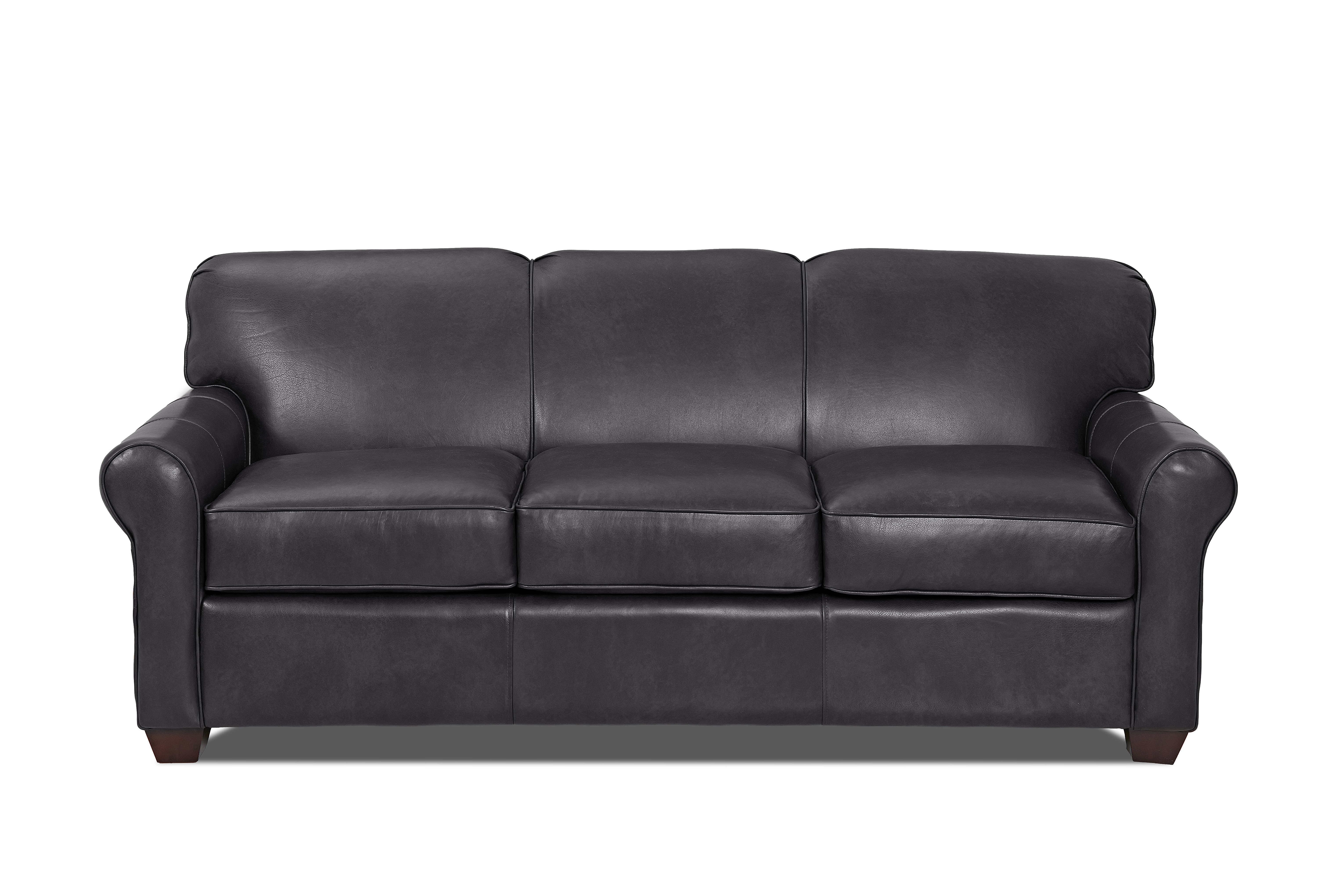 Jennifer Leather Sofa Bed Reviews Birch Lane