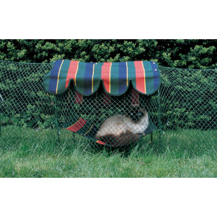 Cat Cages Playpens You Ll Love Wayfair Clubhouse Outdoor Pet Playpen