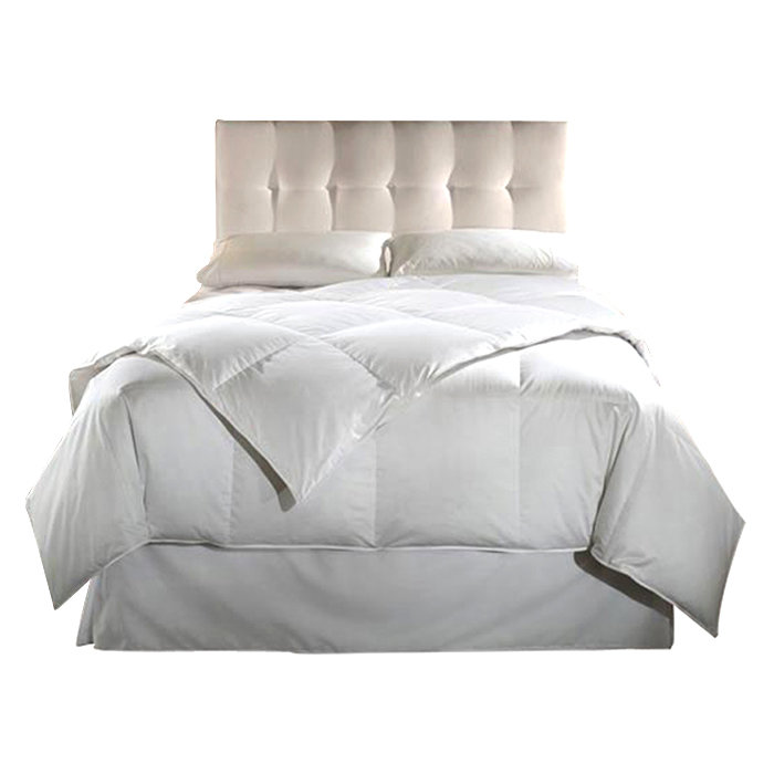 Downlite Hypoallergenic Midweight Down Comforter & Reviews Wayfair