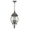 Craftmade French Country 3-Light Outdoor Hanging Lantern & Reviews ...