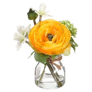 Ranunculus in Vase