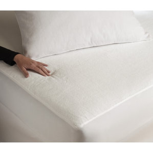 Pillow Protector by Alwyn Home