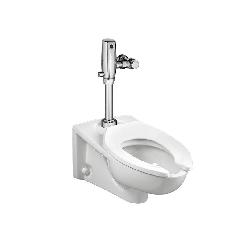 American Standard Selectronic Flush Valve & Reviews Wayfair