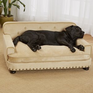 Lolita Library Dog Sofa