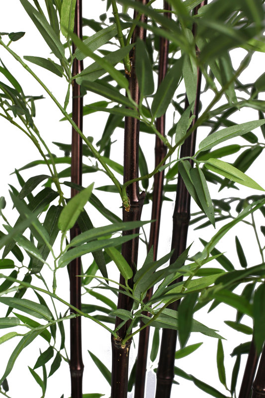 Wildon Home ® Bamboo Tree in Pot & Reviews Wayfair