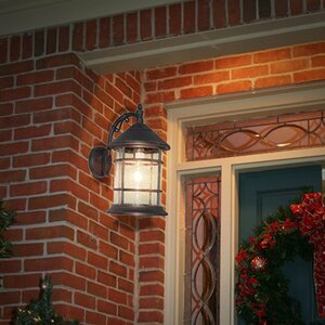 Bella Luce 1-Light Outdoor Wall Lantern
