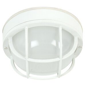 Large Round Outdoor Flush Mount