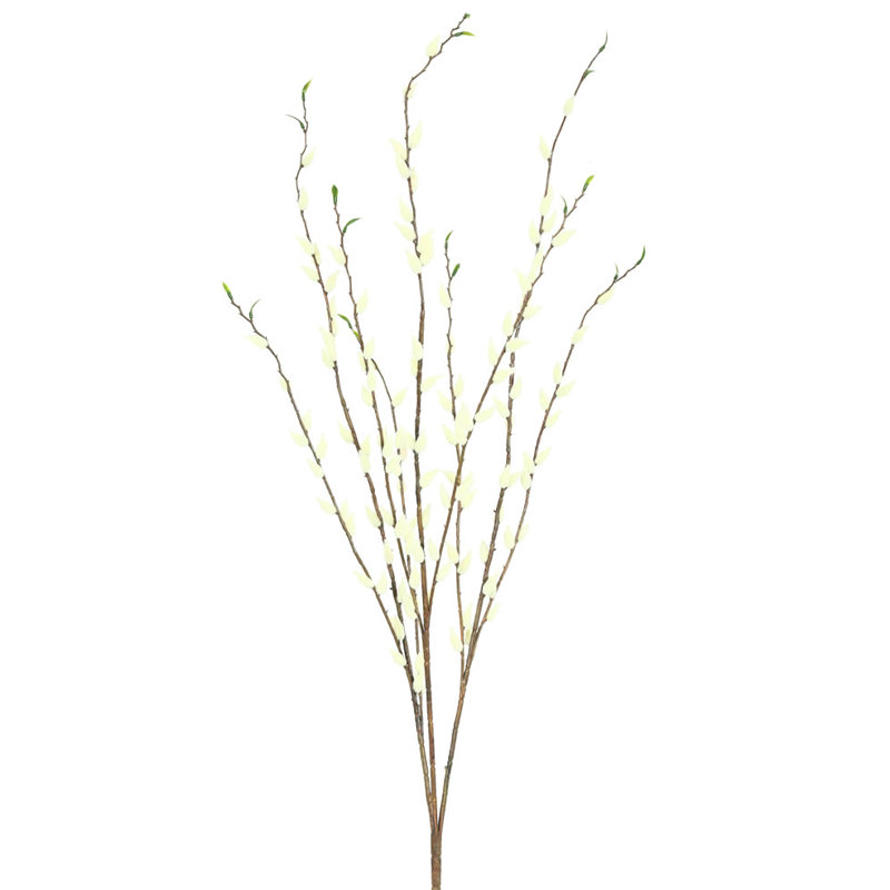 Gracie Oaks Foliage Willow Plant Reviews Wayfair Foliage Willow Plant