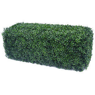 Outdoor Artificial Boxwoods Wayfair Outdoor Artificial Boxwood Hedge
