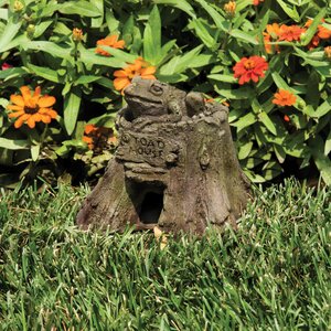 Animals Toad House Statue