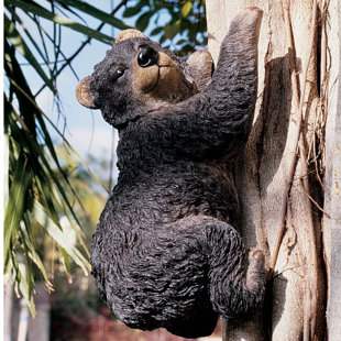View Yonva the Climbing Bear