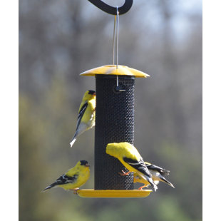 Audubon Woodlink Magnum Sunflower Nyjer Thistle Feeder Wayfair
