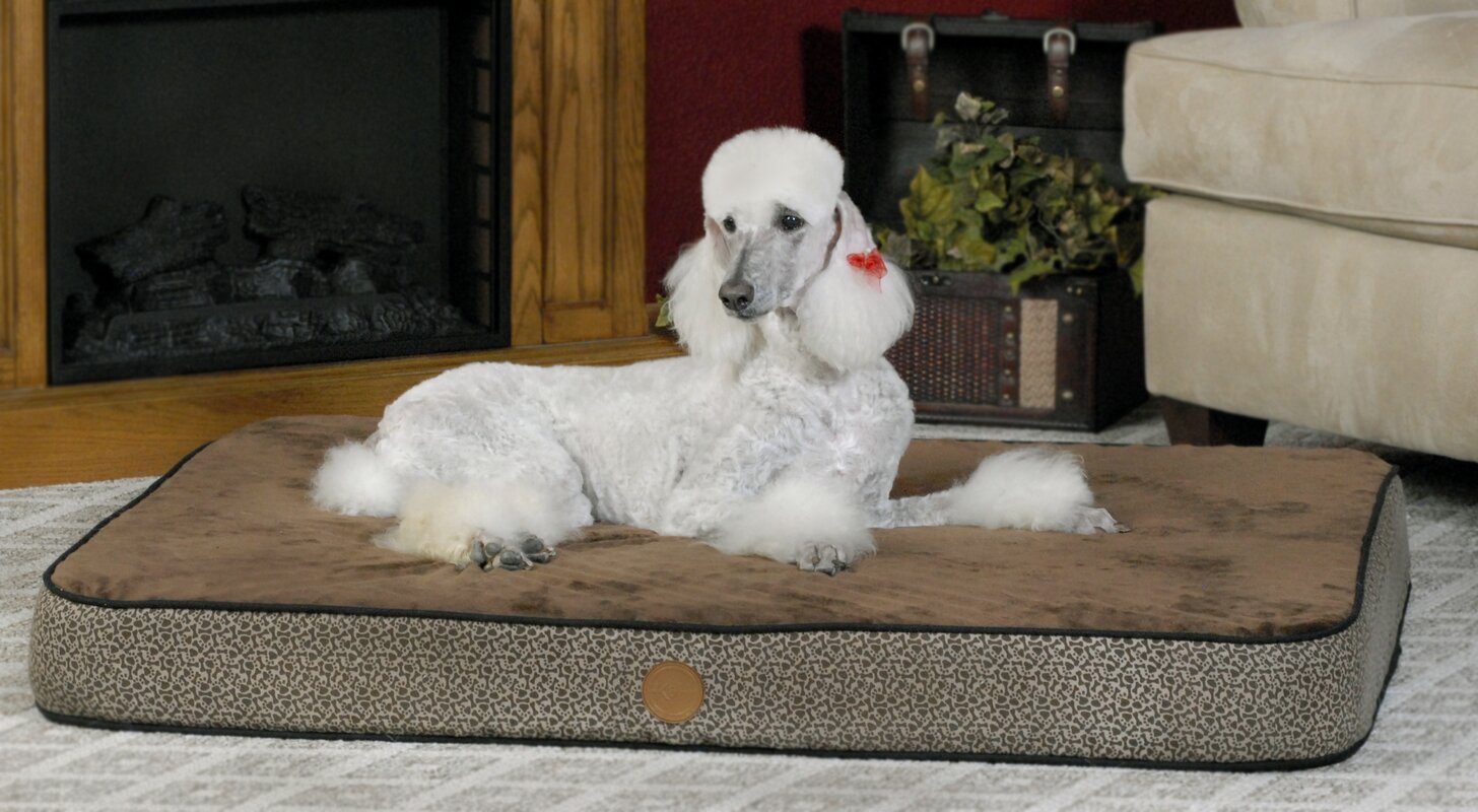 dog training pillow