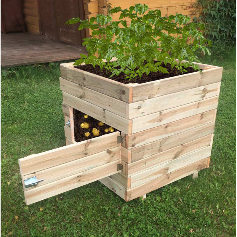 Lynton Garden Kostuch Square Potato Planter Box Wayfair