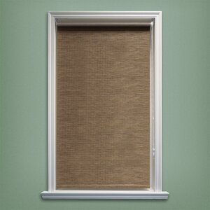 Coleman Continous Roller Shade