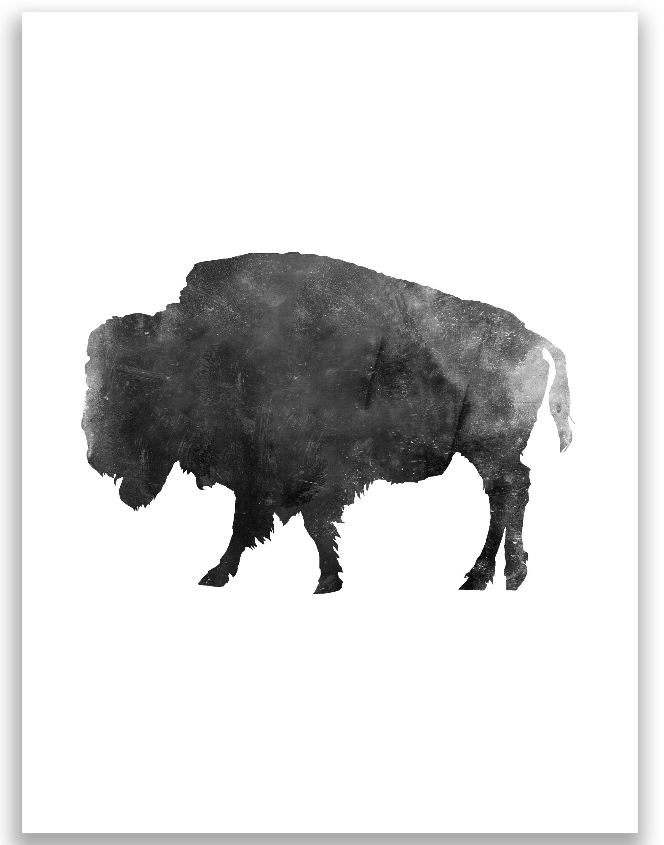 Jetty Home Buffalo Graphic Art Print in Black and White | Wayfair
