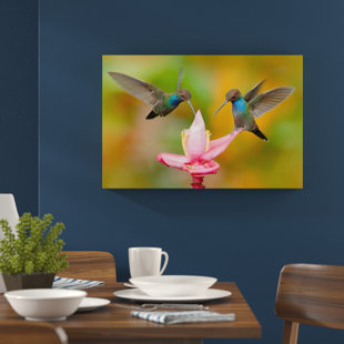 Tropical Wall Art Wayfair Co Uk Two Flying Hummingbirds In The Tropics Wall Art On Canvas