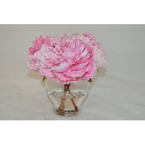 Peonies in Glass Vase